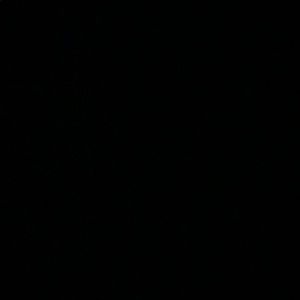 Meet your Posher, Alexia